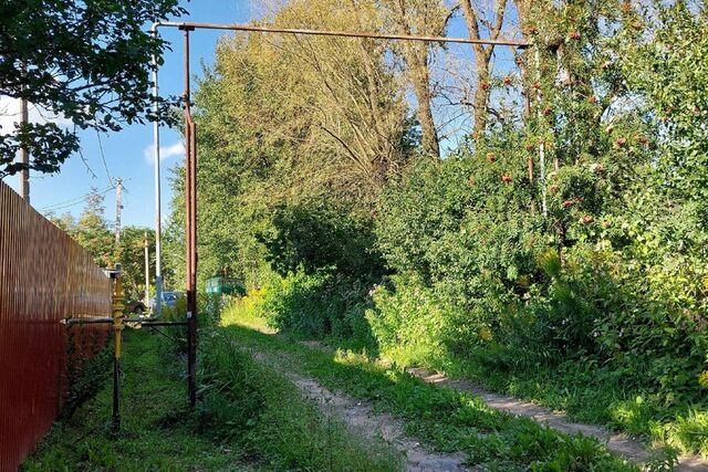 городской округ Великий Новгород, Великий Новгород фото