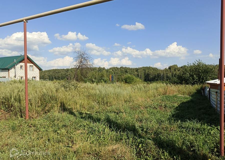 земля р-н Новосибирский село Новолуговое фото 3