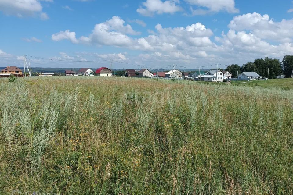 земля р-н Искитимский село Лебедёвка фото 1