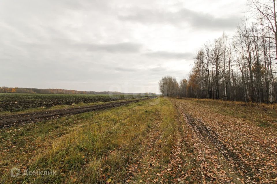 земля р-н Тюменский село Горьковка фото 2