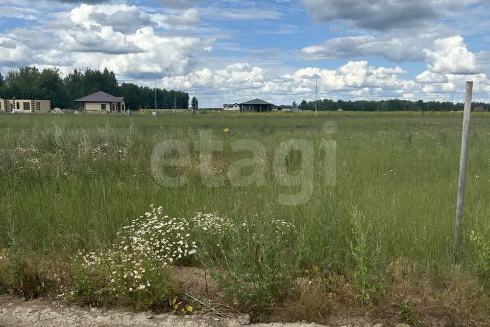 земля р-н Ленинский село Каменское фото 2