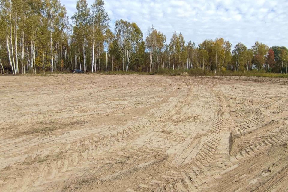 земля городской округ Бор, деревня Васильково фото 4