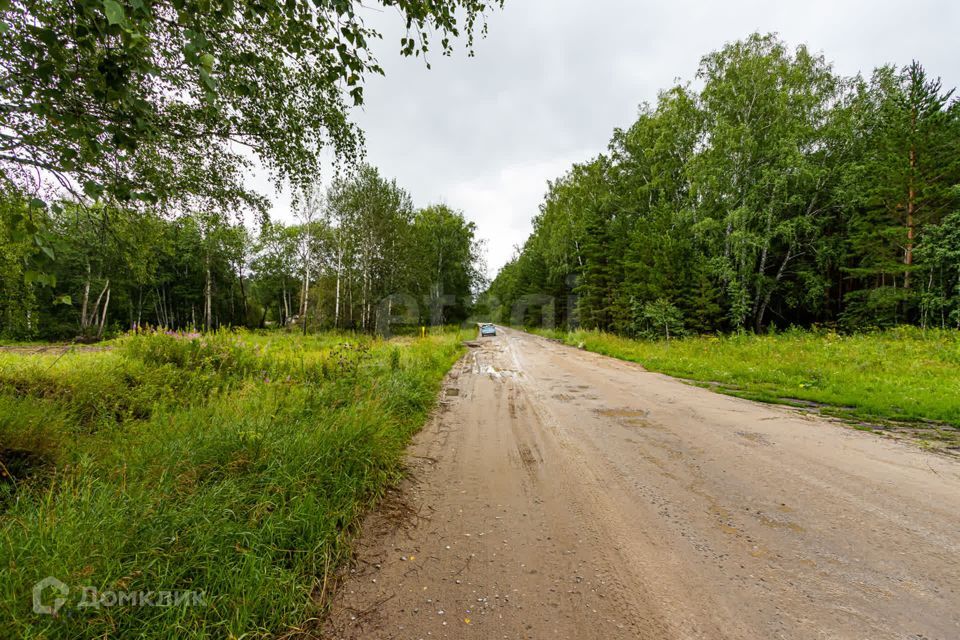 земля р-н Тюменский село Успенка фото 3