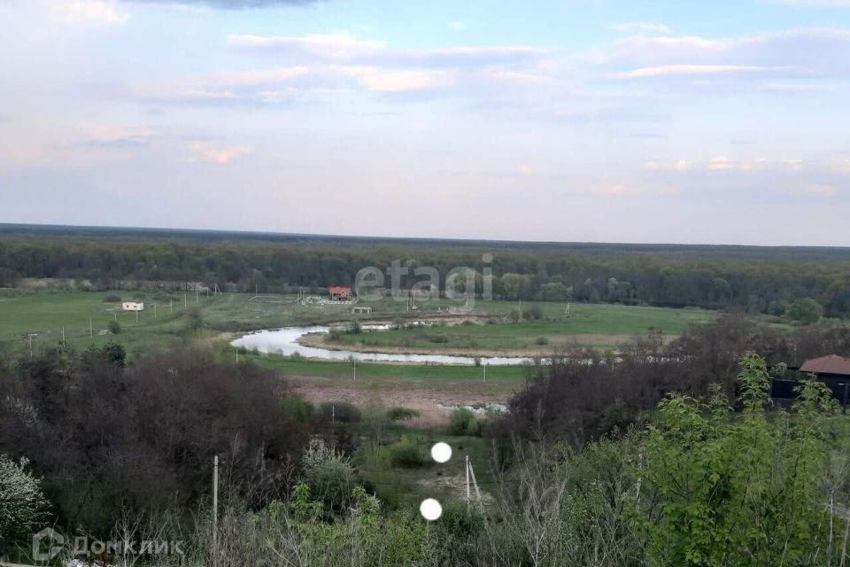 земля р-н Рамонский село Берёзово фото 3