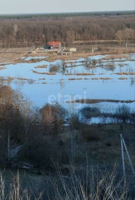 земля р-н Рамонский село Берёзово фото 4