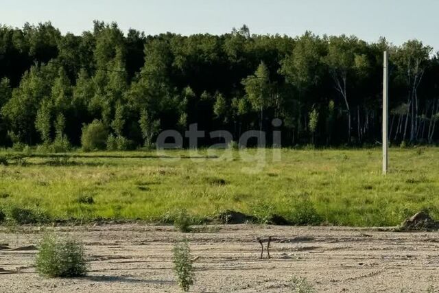 село Чигири фото