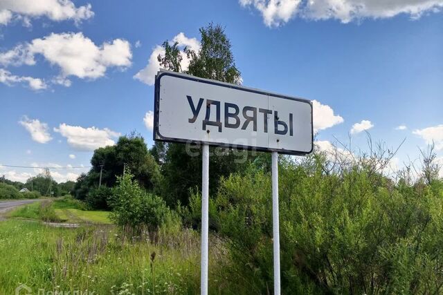 деревня Удвяты фото