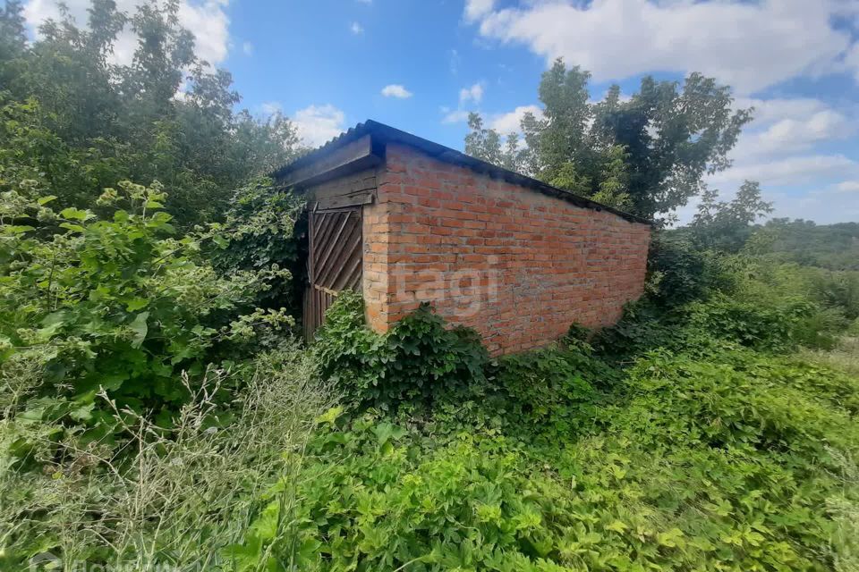 земля р-н Валуйский село Орехово фото 1