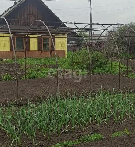 пер Гомельский 6 Кемеровская область — Кузбасс, Прокопьевский городской округ фото