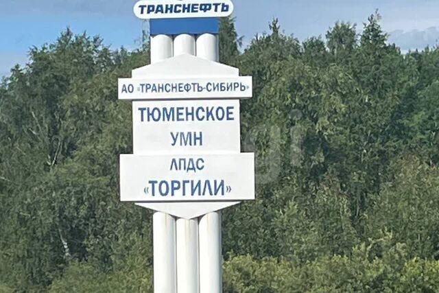 посёлок Торгили фото