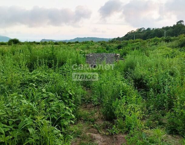 г Фокино ул Садовая городской округ Фокино фото