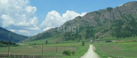 земля р-н Усть-Канский село Усть-Кан фото 2