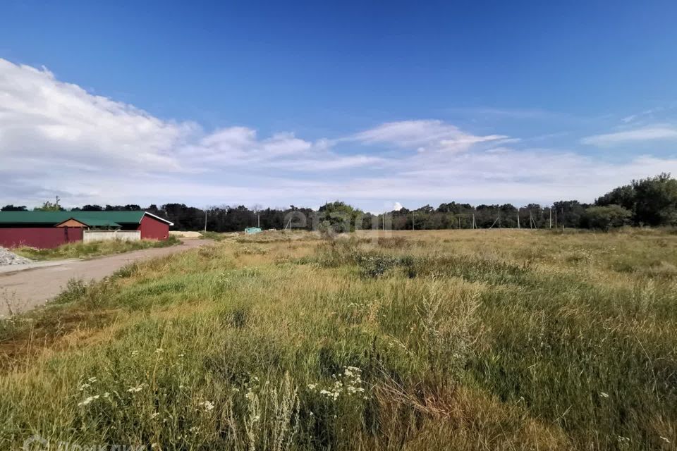 земля р-н Валуйский Рождествено фото 4