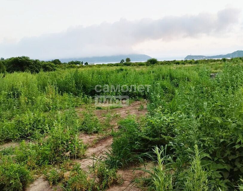 земля г Фокино ул Садовая городской округ Фокино фото 2