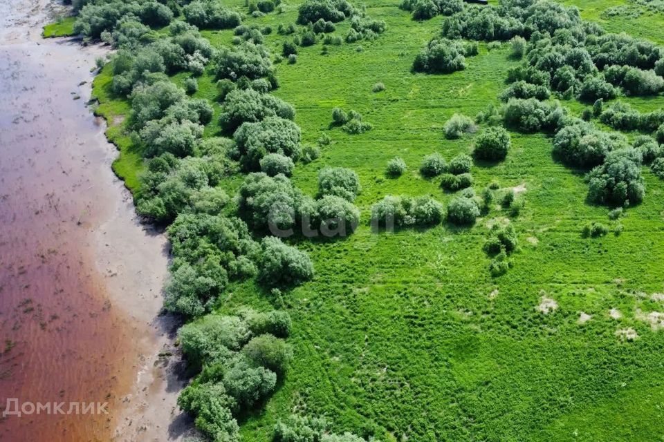 земля р-н Приморский деревня Личка фото 8