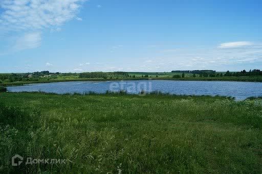 земля р-н Кстовский село Безводное фото 8