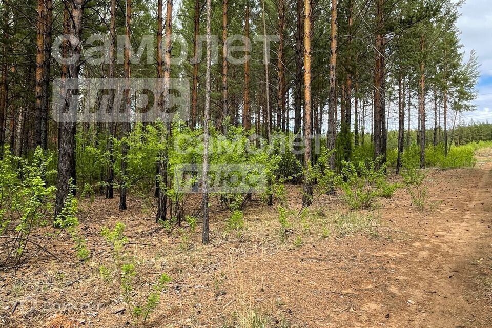 земля р-н Читинский пгт Атамановка гк Автомобилист фото 6