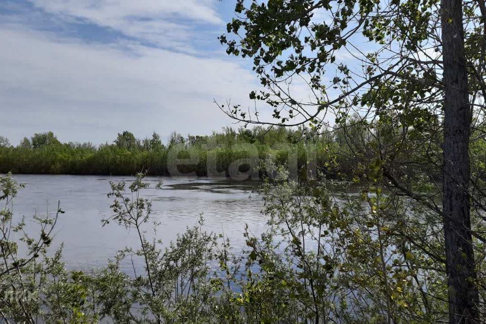 земля р-н Тюменский село Борки фото 10