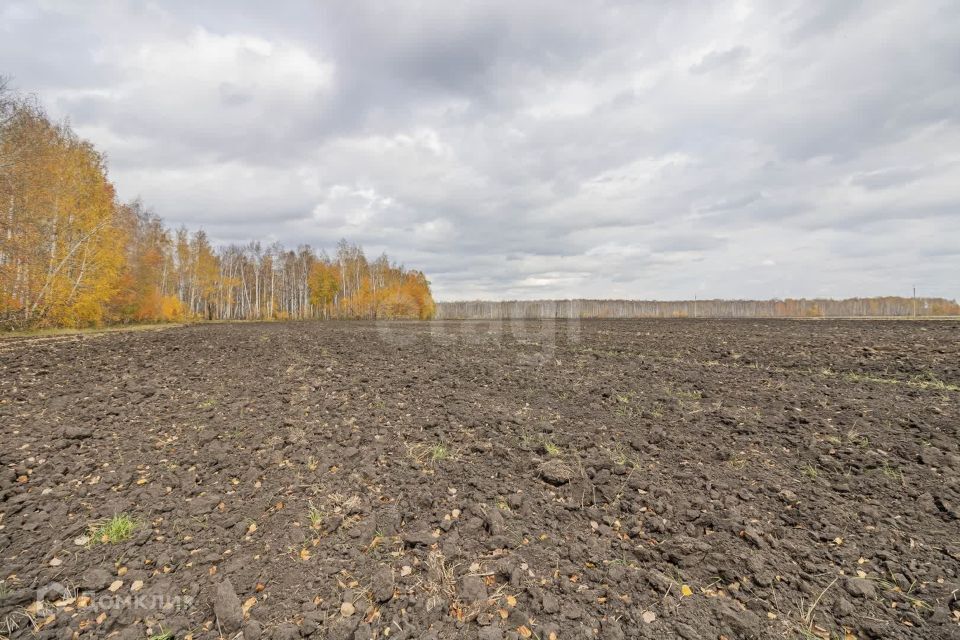 земля р-н Тюменский село Горьковка фото 6