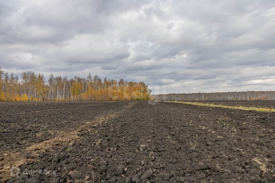 земля р-н Тюменский село Горьковка фото 9