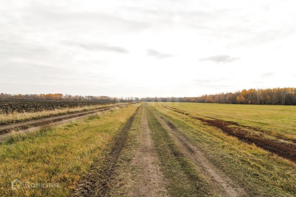 земля р-н Тюменский село Горьковка фото 5