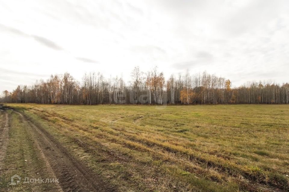 земля р-н Тюменский село Горьковка фото 6