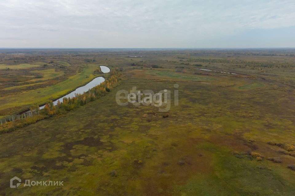 земля р-н Тюменский село Борки фото 8