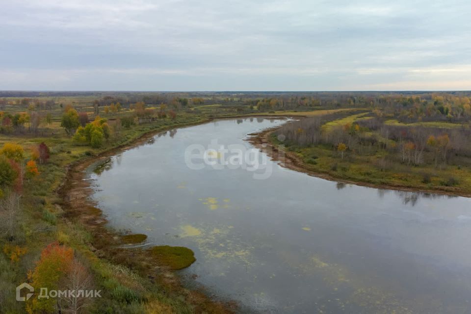 земля р-н Тюменский село Борки фото 9