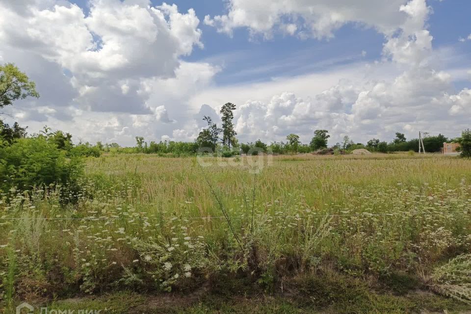 земля г Воронеж р-н Левобережный городской округ Воронеж, Левобережный фото 9