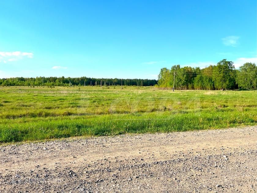 земля р-н Нижнетавдинский село Бухтал фото 5