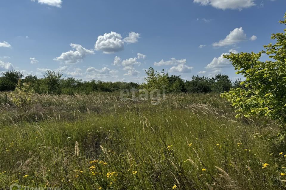 земля р-н Белгородский СТ Олимп-2000 фото 7