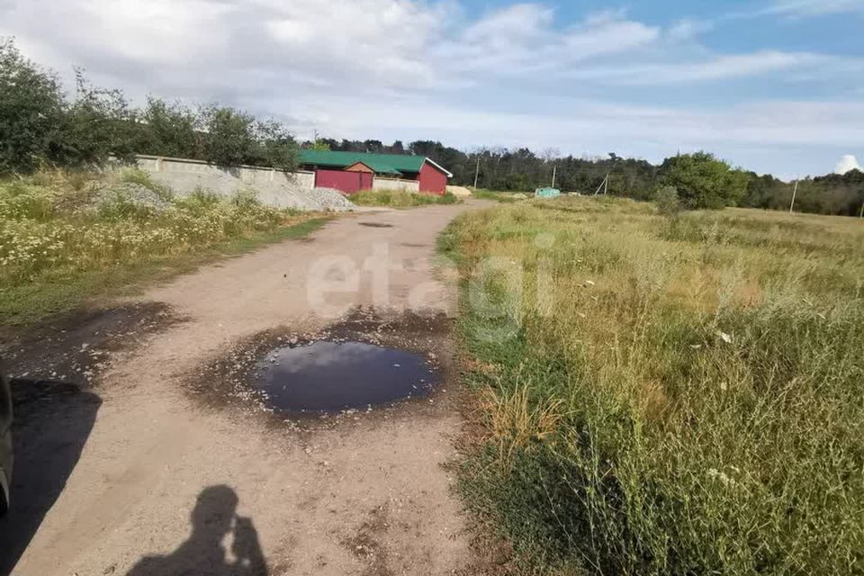 земля р-н Валуйский Рождествено фото 6