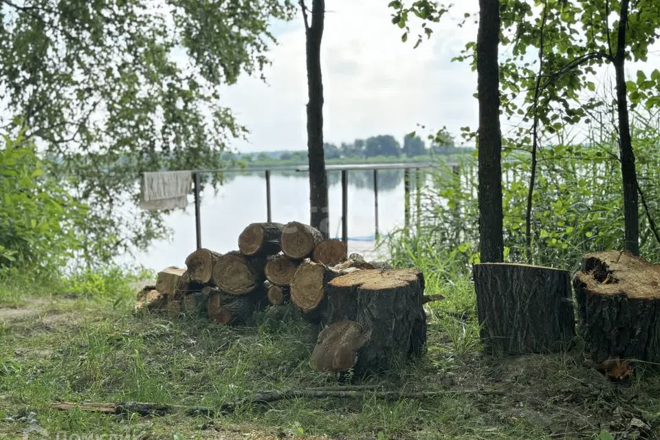 земля р-н Городецкий деревня Чуркино фото 10