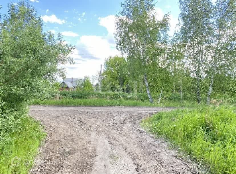 земля г Тюмень снт Липовый остров ул Западная 2-я городской округ Тюмень фото 5