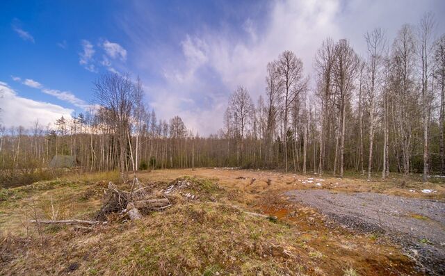 Приозерское шоссе, 9749 км, Куйвозовское сельское поселение, коттеджный пос. Черничный, 55 фото