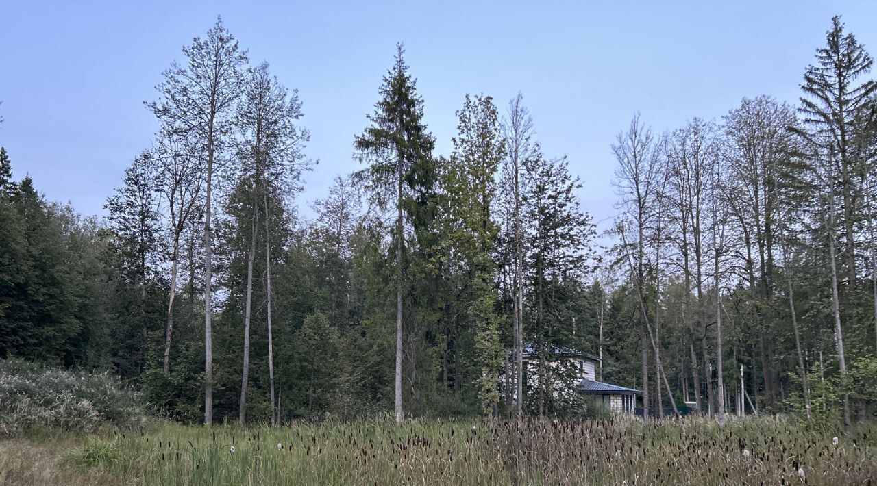 земля городской округ Одинцовский д Сивково Зеленая роща-1 кп фото 5