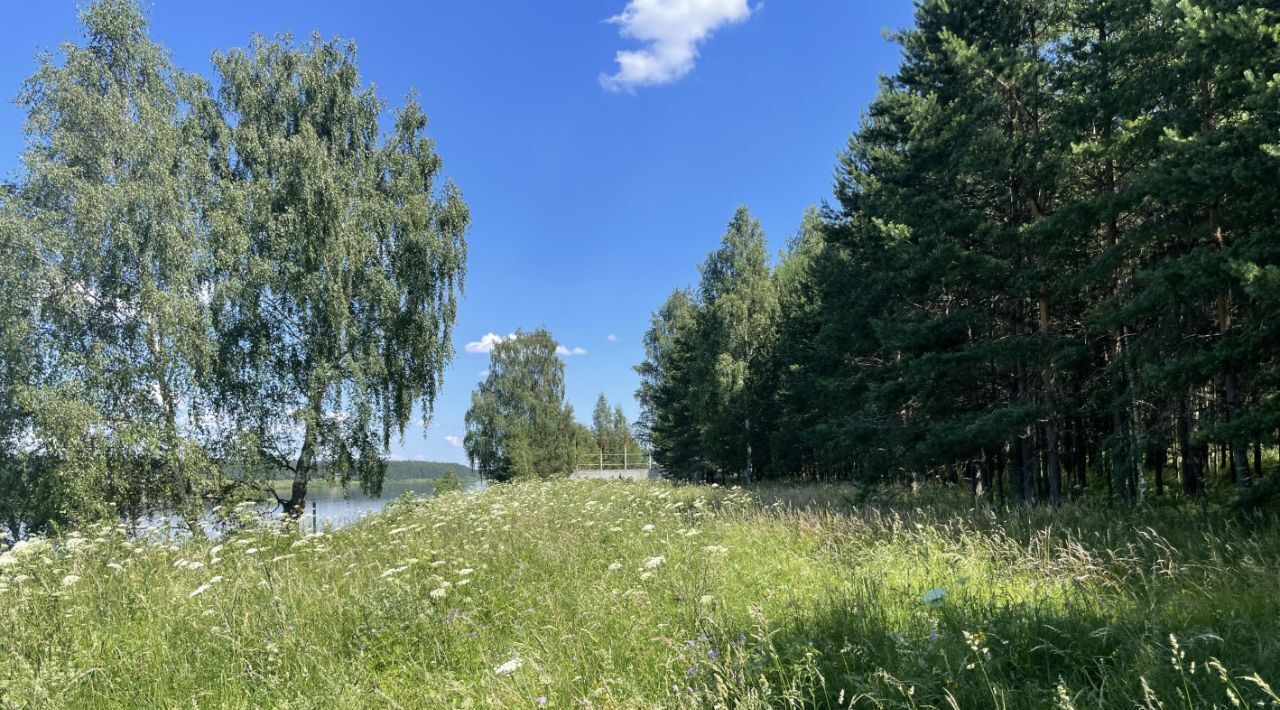 земля р-н Калининский д Прудище ул Прибрежная фото 3