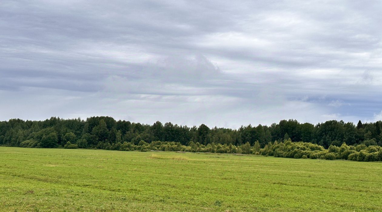 земля р-н Тосненский д Рамцы Любанское городское поселение фото 3