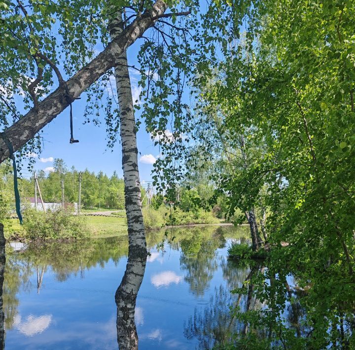 земля городской округ Чехов д Манушкино ул Садовая 25 фото 20