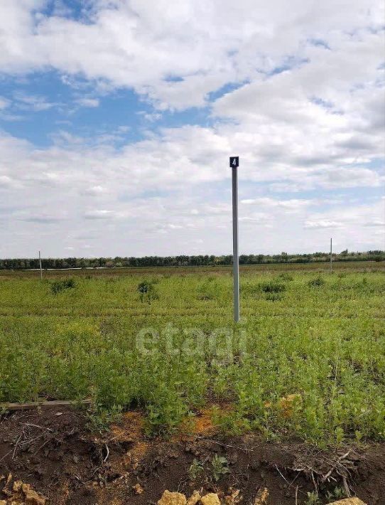 земля р-н Аксайский х Ленина ул Севастопольская фото 5