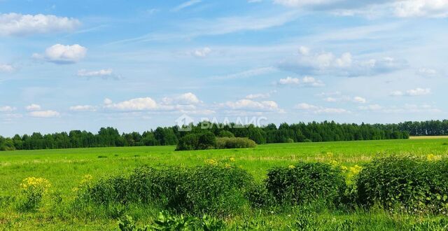 ул Центральная муниципальное образование Селецкое, Суздаль фото