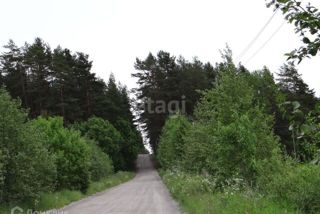 товарищество собственников недвижимости Молодёжное фото