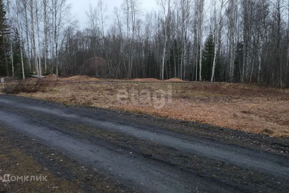 земля р-н Всеволожский деревня Лехтуси фото 1