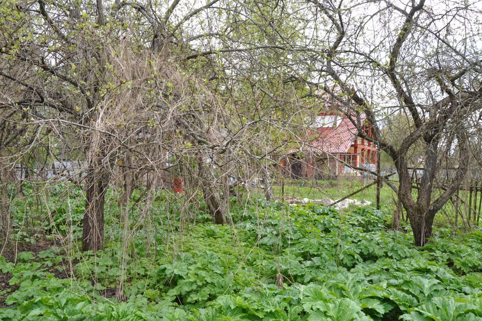 земля городской округ Дмитровский деревня Абрамцево фото 4