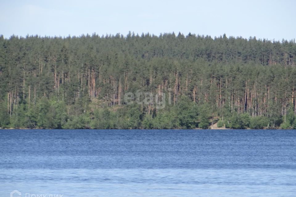 земля р-н Приозерский товарищество собственников недвижимости Молодёжное фото 10