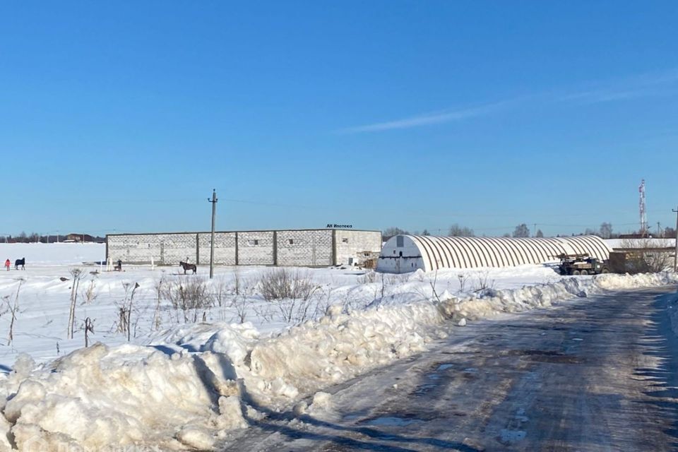 земля городской округ Щёлково с Петровское снт тер.Кипрей 15 фото 7