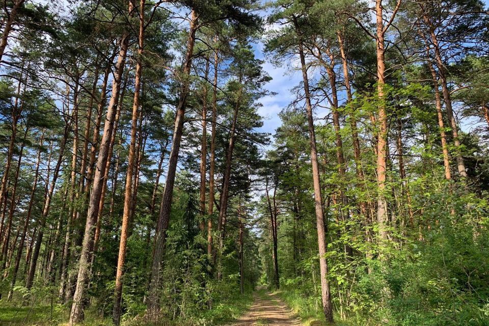 земля р-н Ломоносовский городской посёлок Большая Ижора фото 2