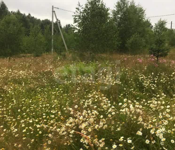 земля городской округ Дмитровский Некрасовский фото 2