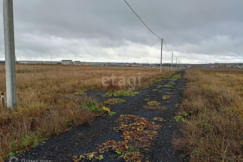 земля городской округ Чехов ДНТ Чубарово фото 2