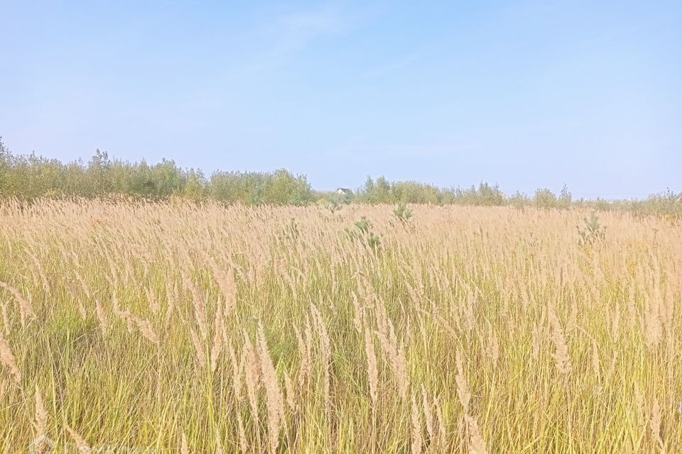 земля городской округ Воскресенск дачный посёлок Солнечная Долина-3 фото 3